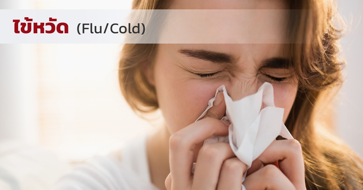 ไข้หวัด (Flu/Cold)