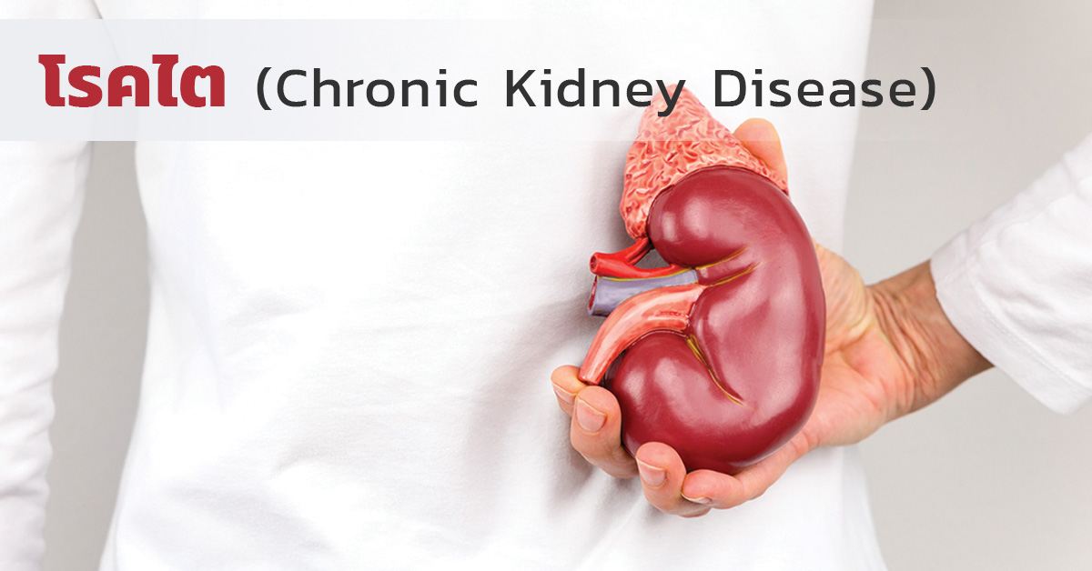 โรคไต (Chronic Kidney Disease)