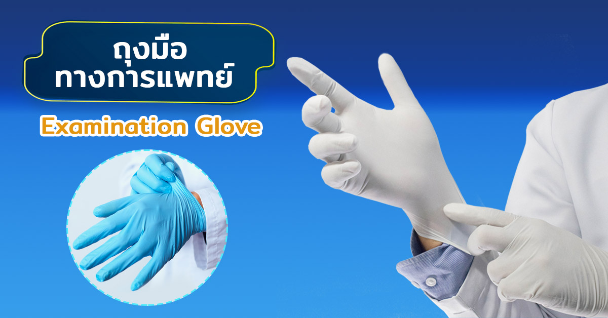ถุงมือทางการแพทย์ (Examination Glove)