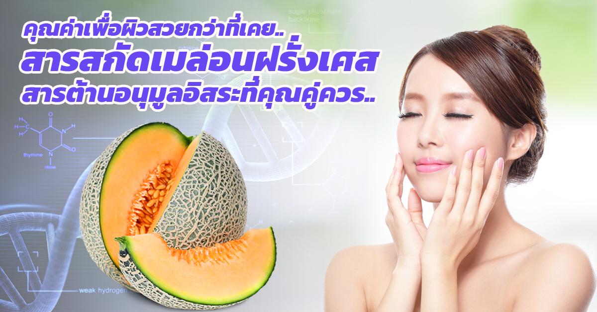 สารสกัดเมล่อน Melon Extract (SOD)