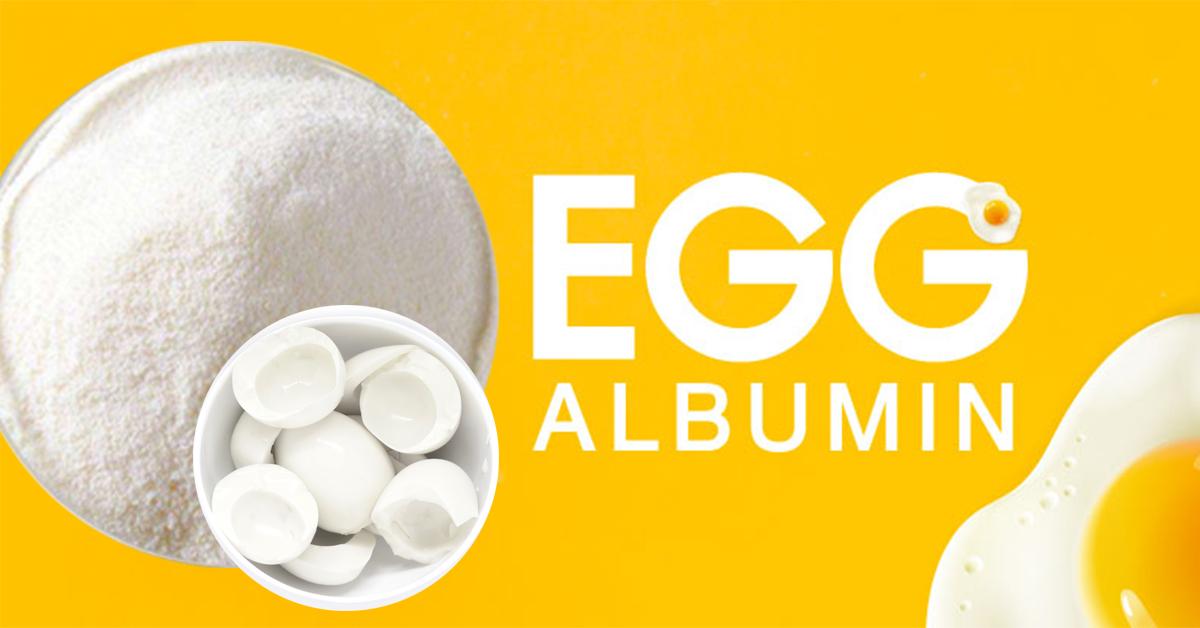 อัลบูมิน ไข่ขาว (Egg Albumin Powder)