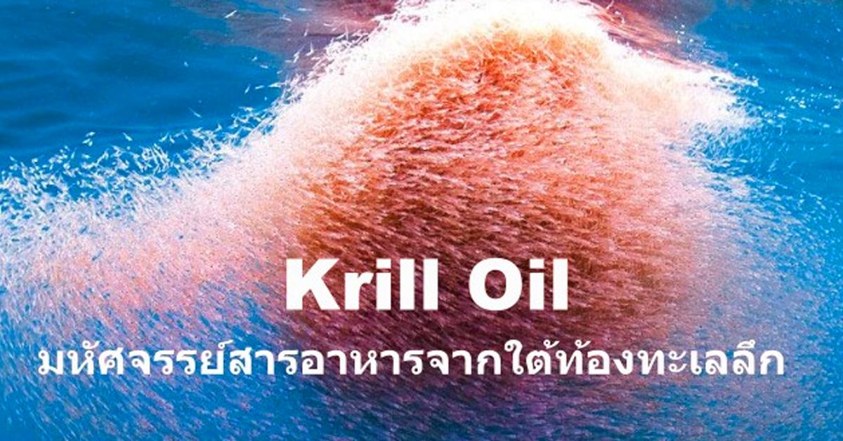 คริลล์ออย (Krill Oil) (กุ้งขนาดเล็ก หรือ เคย)