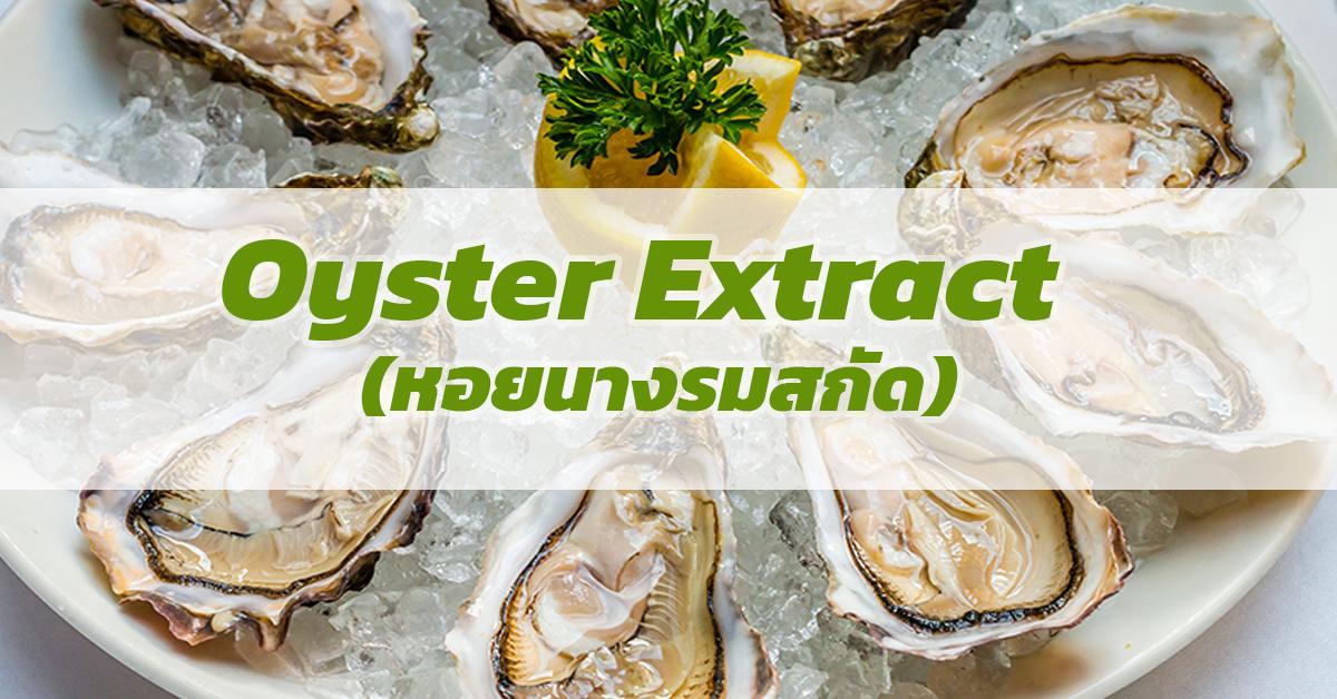  หอยนางรมสกัด (Oyster Extract)