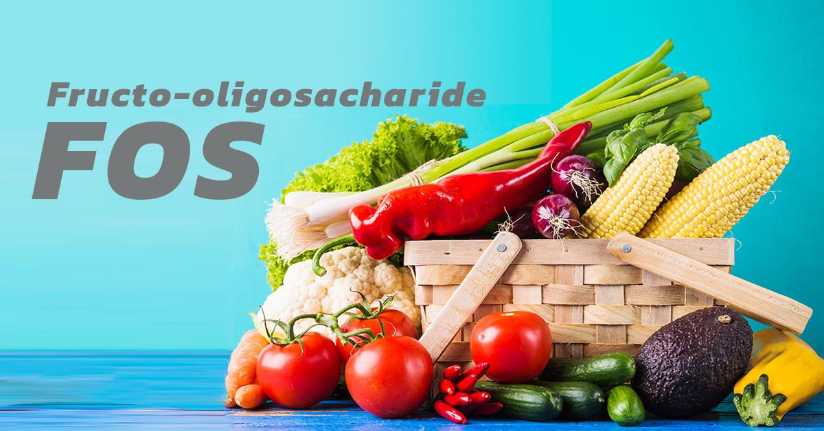 Fructo-oligosacharide (FOS) หรือ Oligofructose