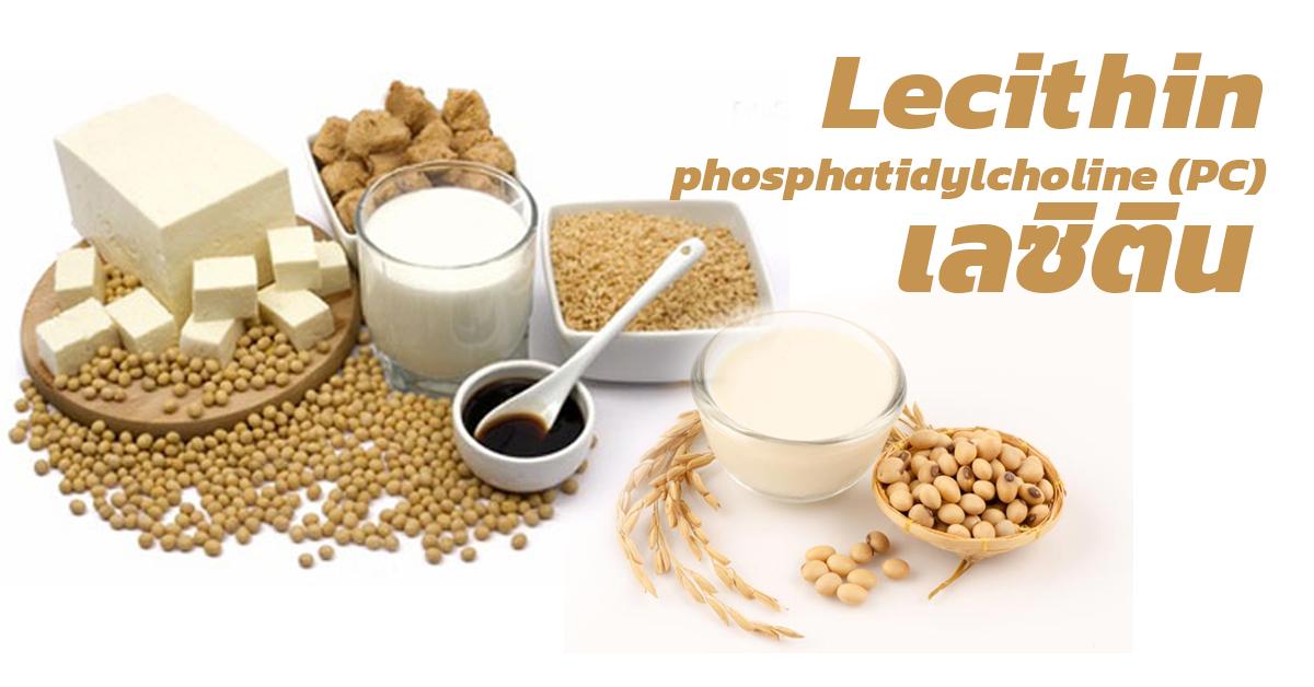 เลซิติน (Lecithin-phosphatidylcholine)