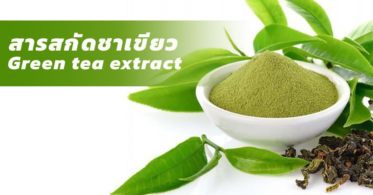 สารสกัดชาเขียว (Green tea extract)