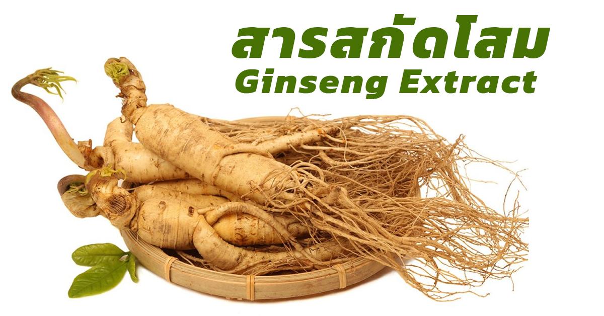 สารสกัดโสม (Ginseng Extract)