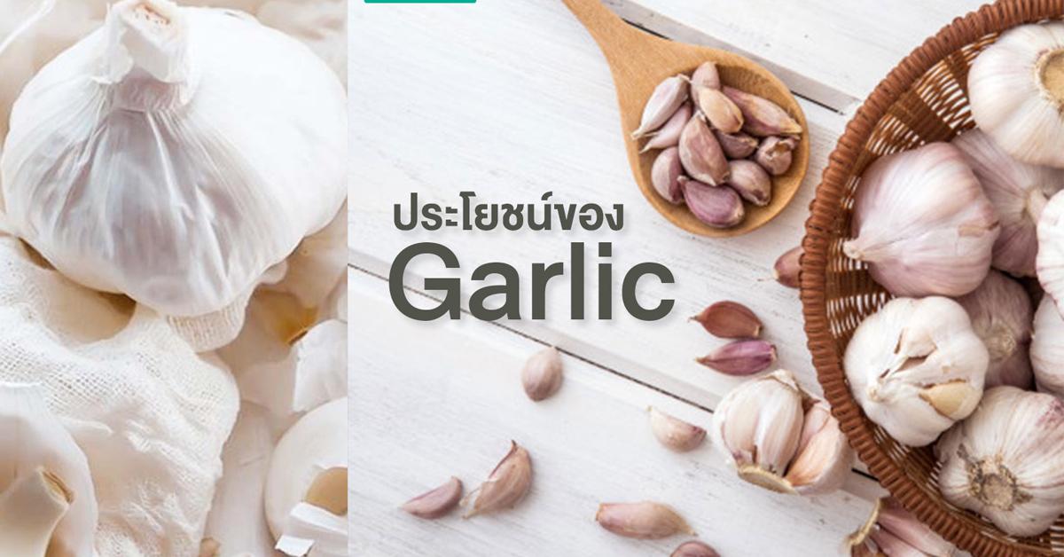 สารสกัดกระเทียม (Garlic Extract)
