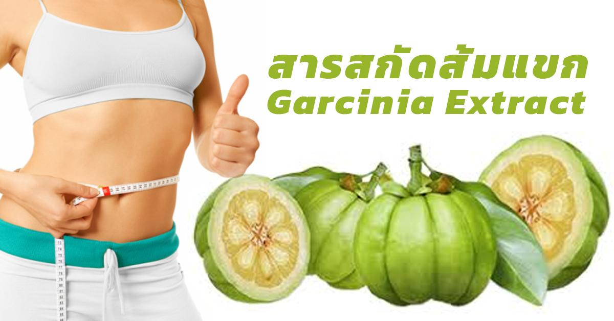 สารสกัดส้มแขก (Garcinia Extract)