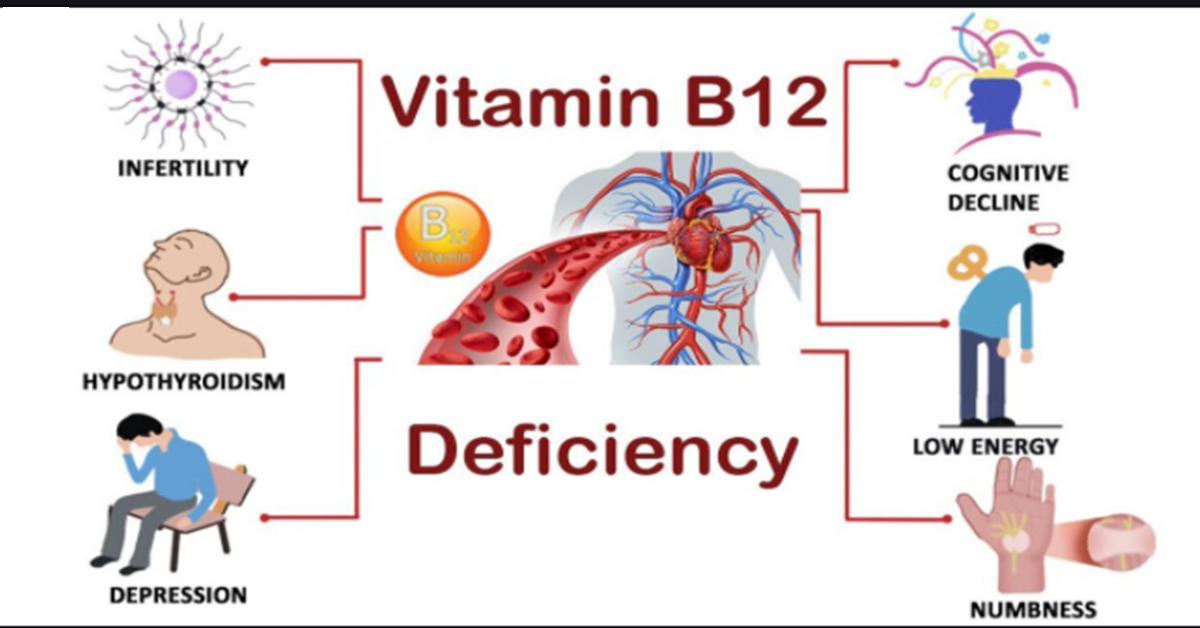 วิตามินบี12 Vitamin B12-Cobalamin