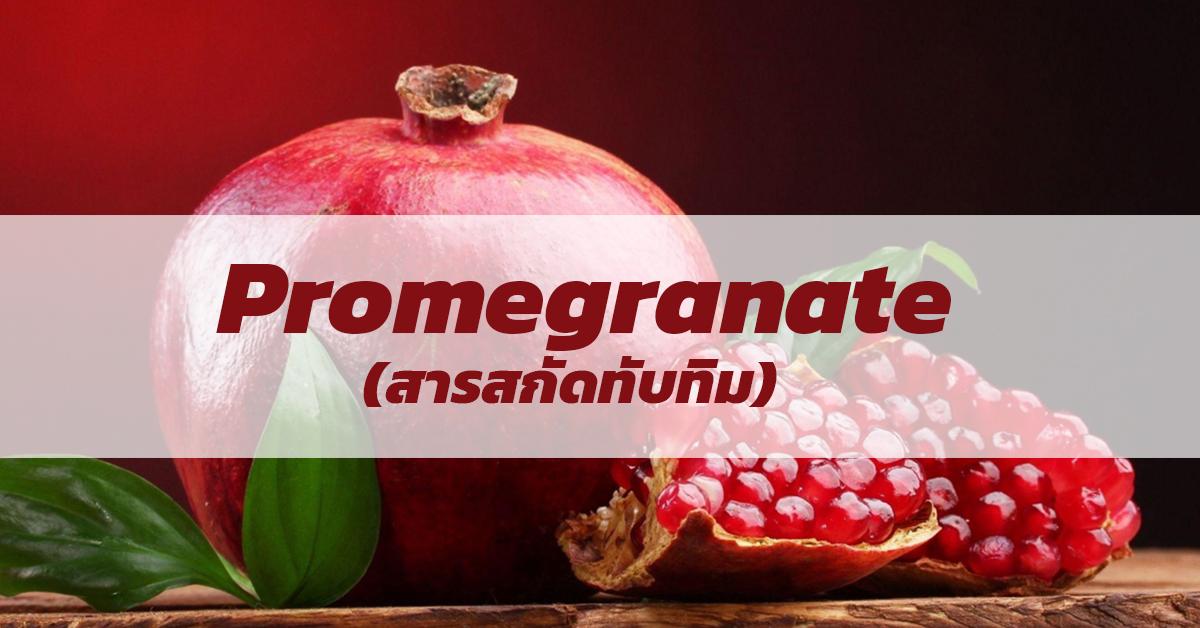  สารสกัดทับทิม Promegranate