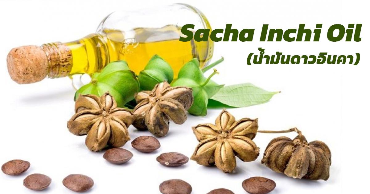 น้ำมันดาวอินคา (Sacha Inchi Oil)