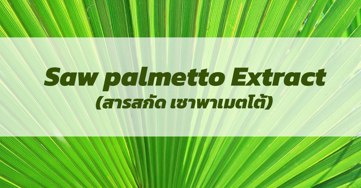 สารสกัดเซาพาเมตโต้ (Saw palmetto Extract)