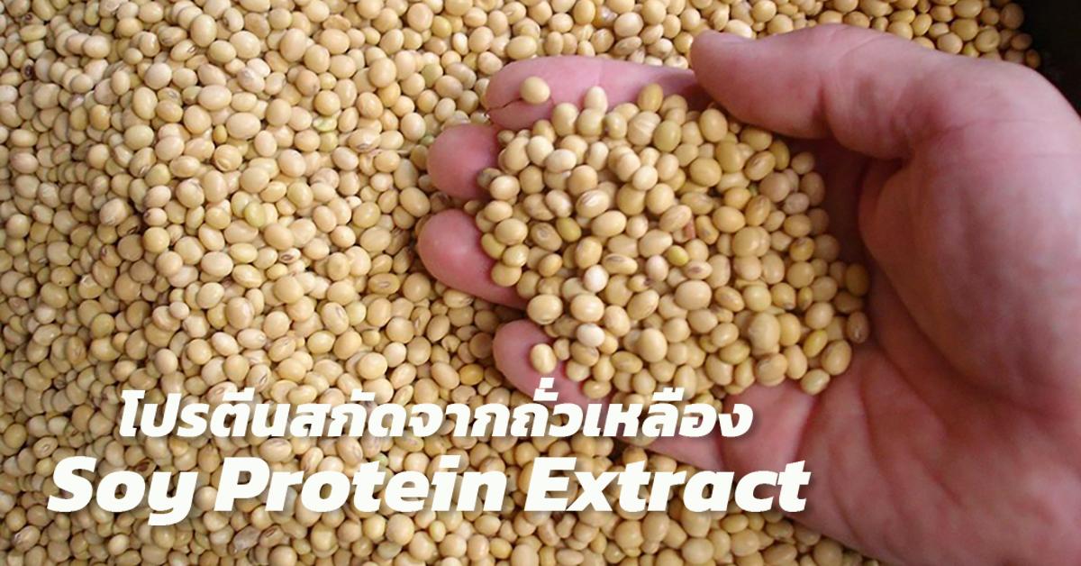 โปรตีนสกัดจากถั่วเหลือง (Soy Protein Extract)