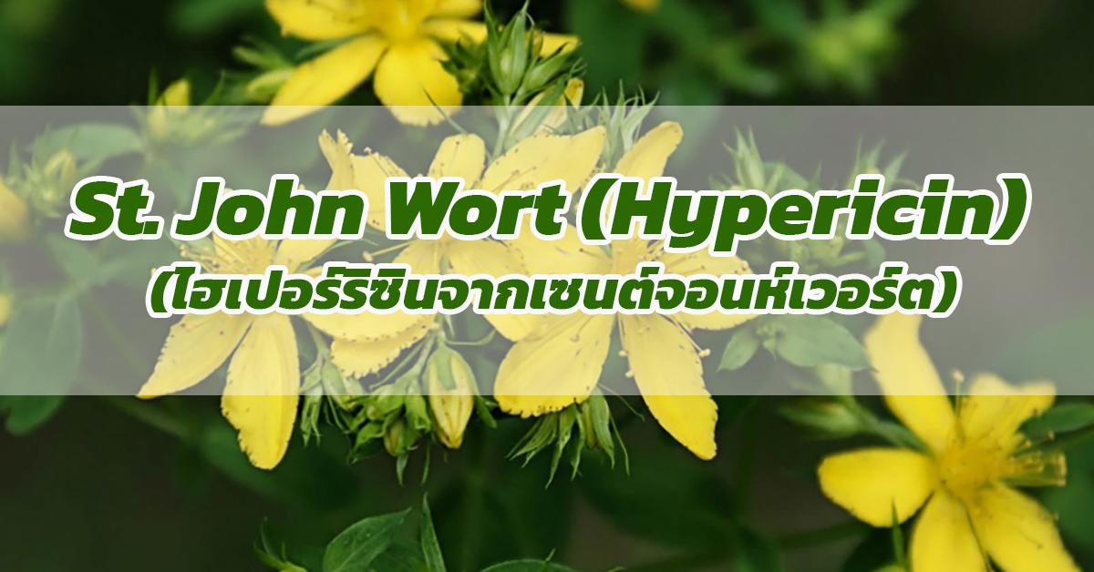เซนต์จอห์นเวิร์ต St’ John Wort (Hypericin)