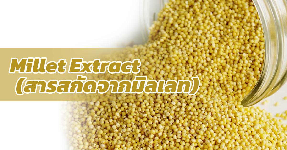 สารสกัดจากมิลเลท Millet Extract