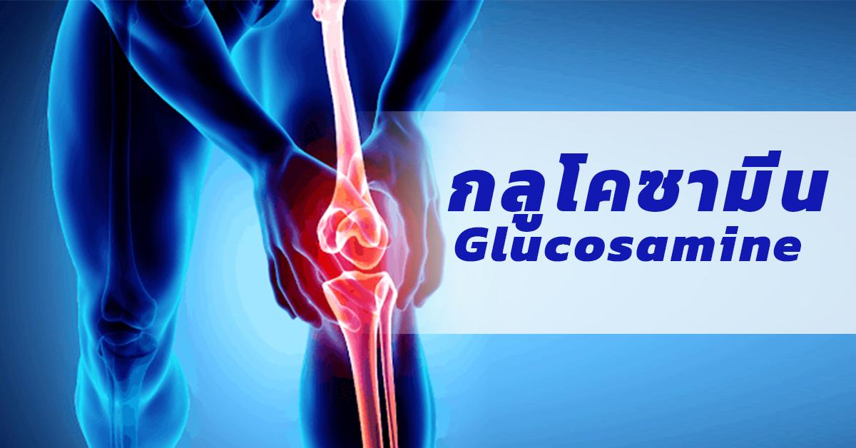 กลูโคซามีน Glucosamine